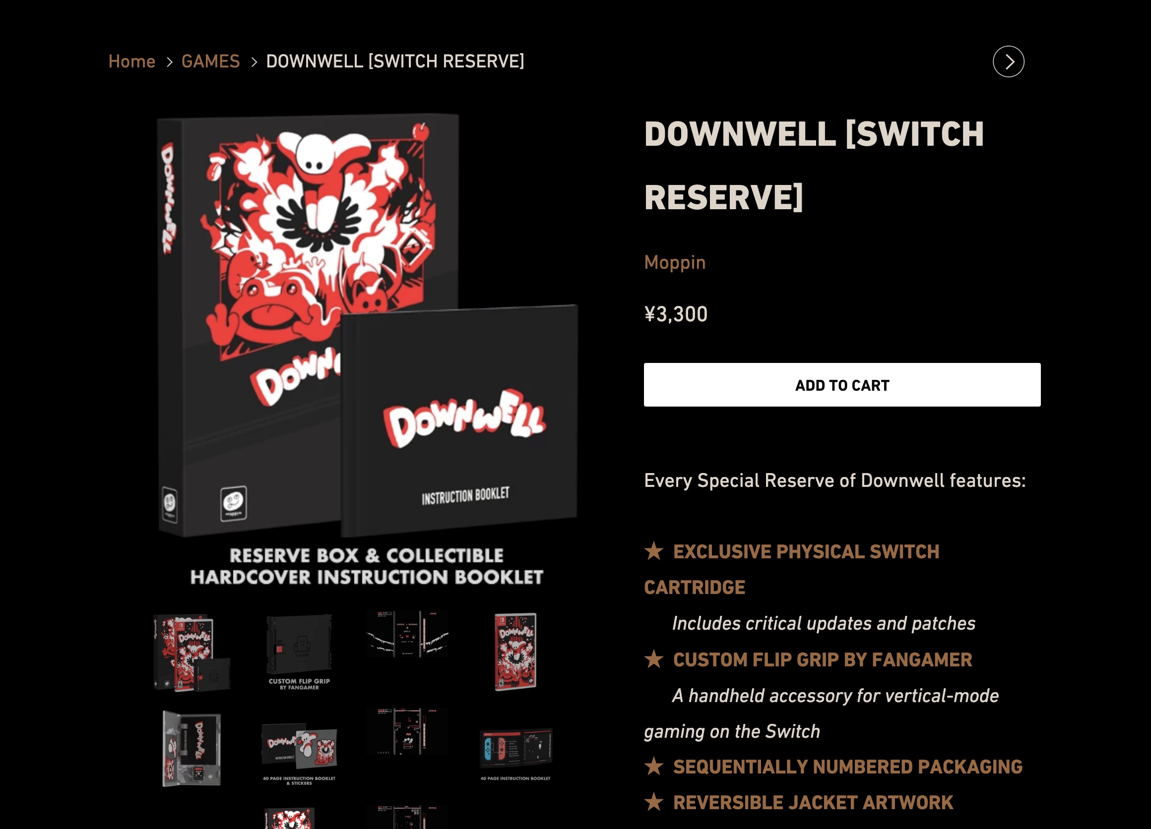 DOWNWELLの購入サイト